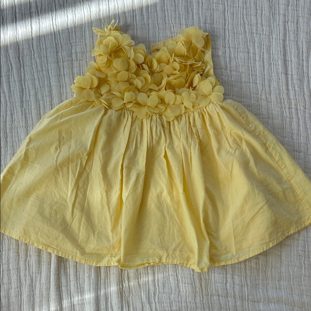 GAP Yellow Floral Appliqué Dress